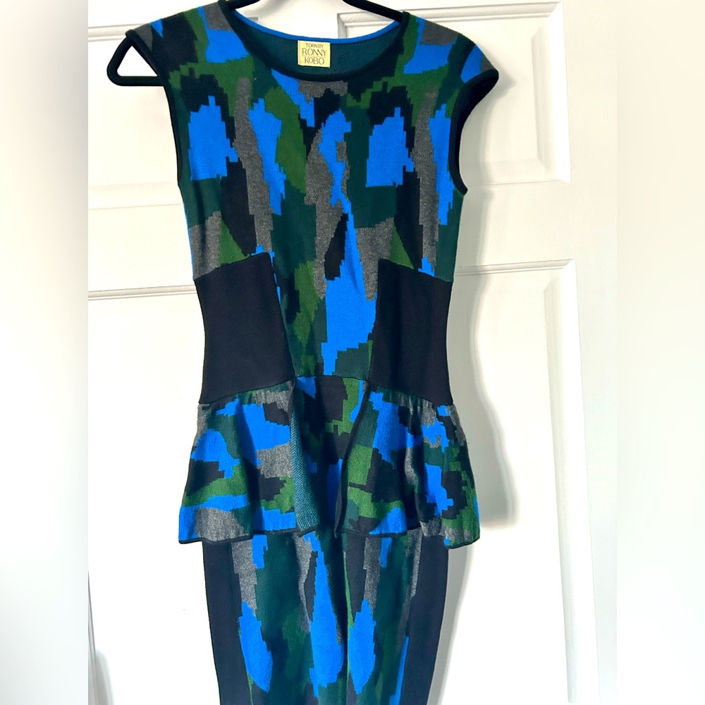 Torn By Ronny Kobo Dress.